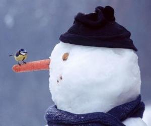 yapboz Bir kuş Burnu ile kardan adam